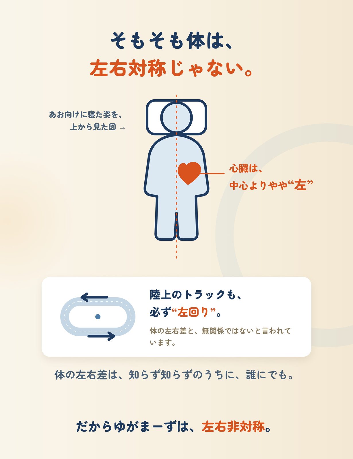 そもそも体は、左右対称じゃない。心臓は中心よりやや左。陸上のトラックも必ず左回り